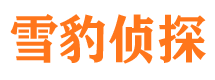 凌河找人公司